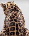 yaheli_ovadya Altpins Profile Picture