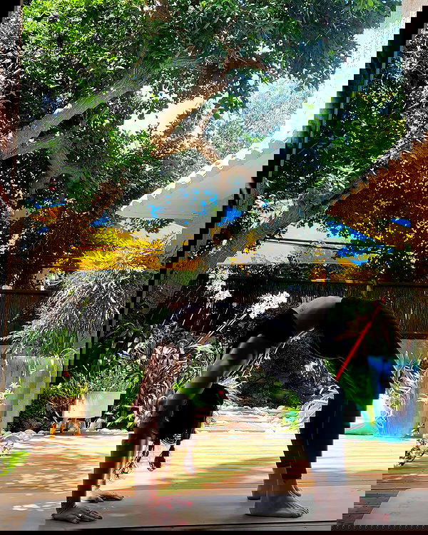 yasmin_kb yasmin_kb archive image