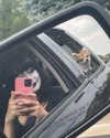 yippeeangel Altpins Profile Picture