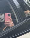 yippeeangel Altpins Profile Picture