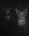yippeeangel Altpins Profile Picture