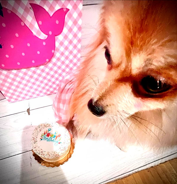 yippeeangel instagram image archive image