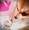 yippeeangel Altpins Profile Picture