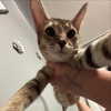 yippeeangel Altpins Profile Picture
