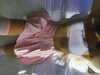 yourlittlemaya Altpins Profile Picture