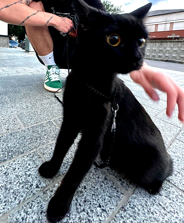 yutashik instagram image archive image