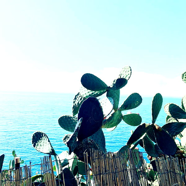 zayantewillow instagram image archive image