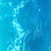 zayantewillow Altpins Profile Picture