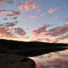 zayantewillow Altpins Profile Picture