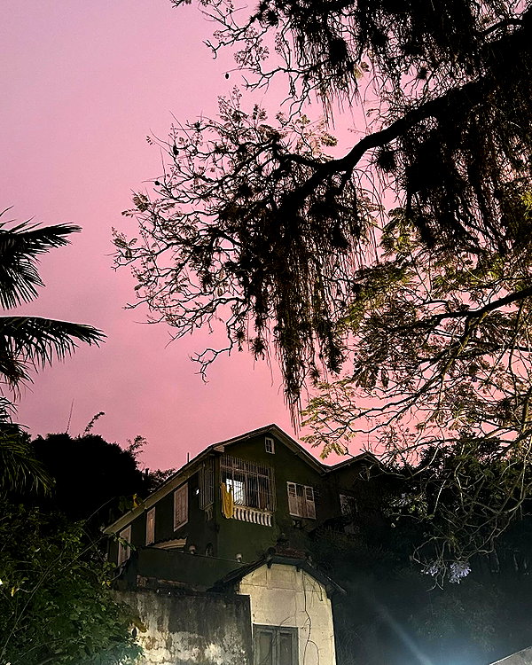 zayantewillow instagram image archive image