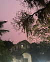 zayantewillow Altpins Profile Picture
