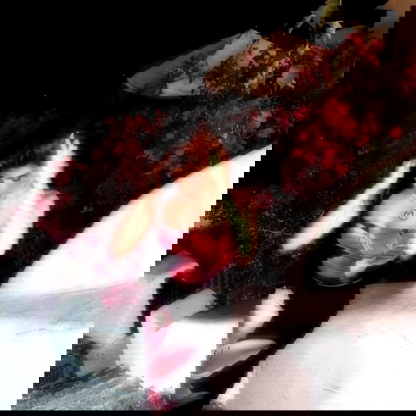 ziv.etach ziv.etach archive image