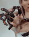 zombiemodel Altpins Profile Picture
