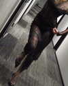zombiemodel Altpins Profile Picture