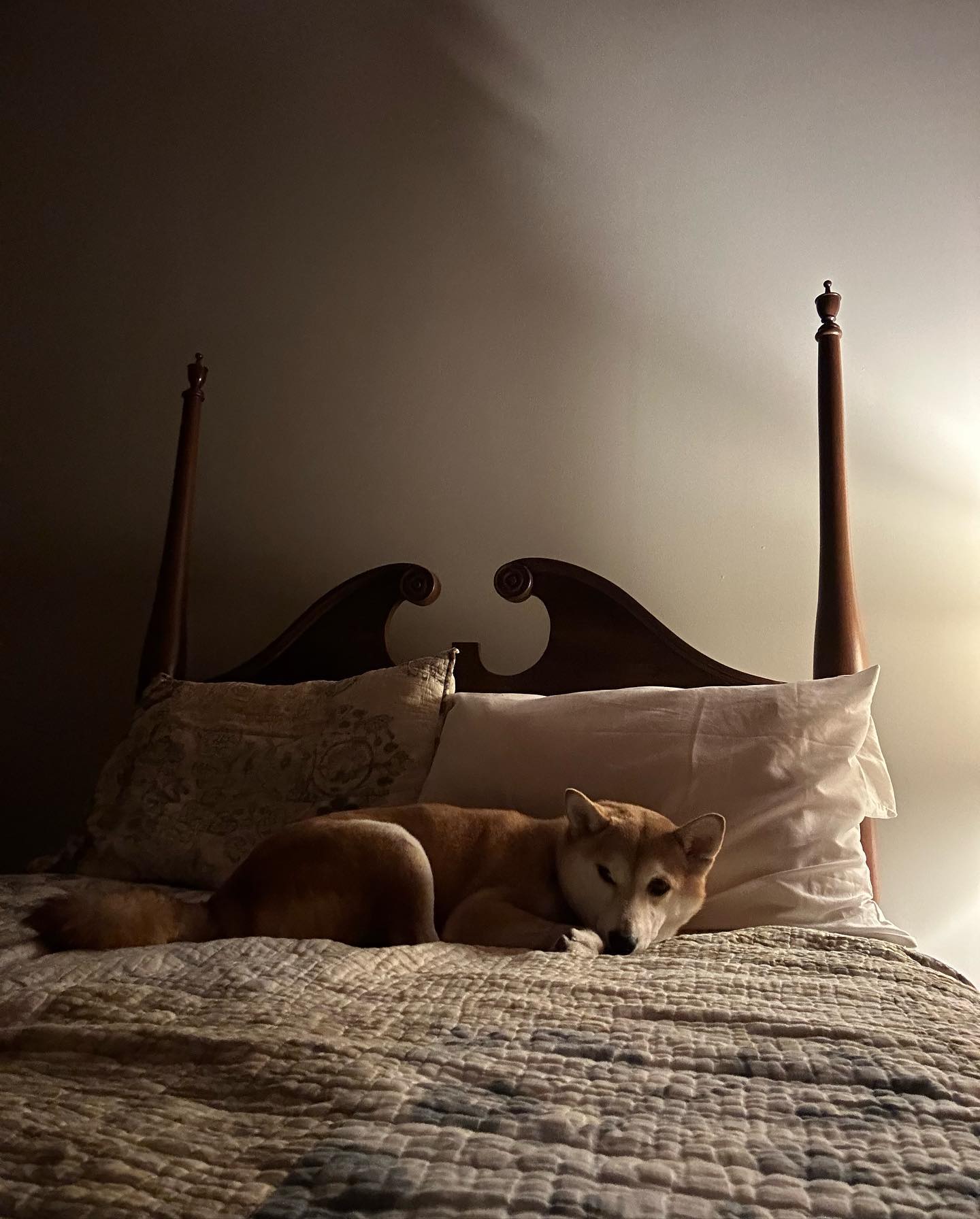 zommmbri instagram image archive image