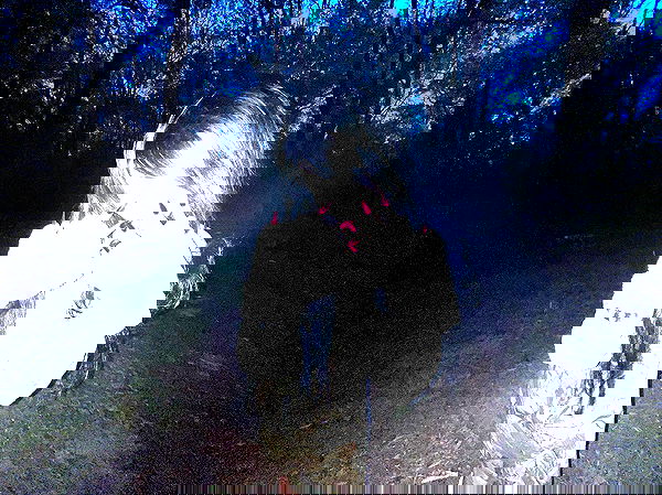 zommmbri image ~ Altpins