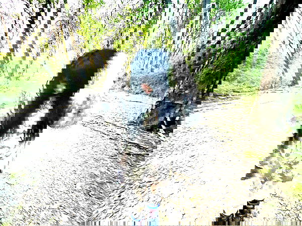 zommmbri image ~ Altpins