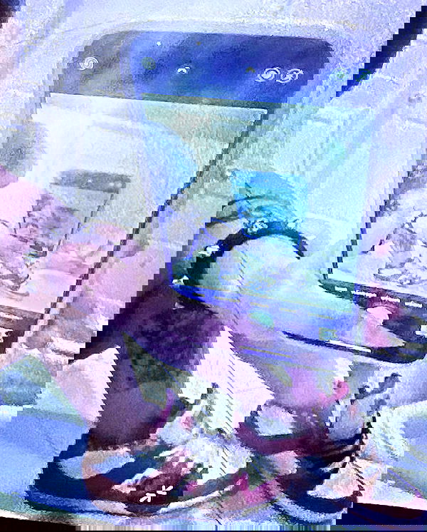 zommmbri image ~ Altpins