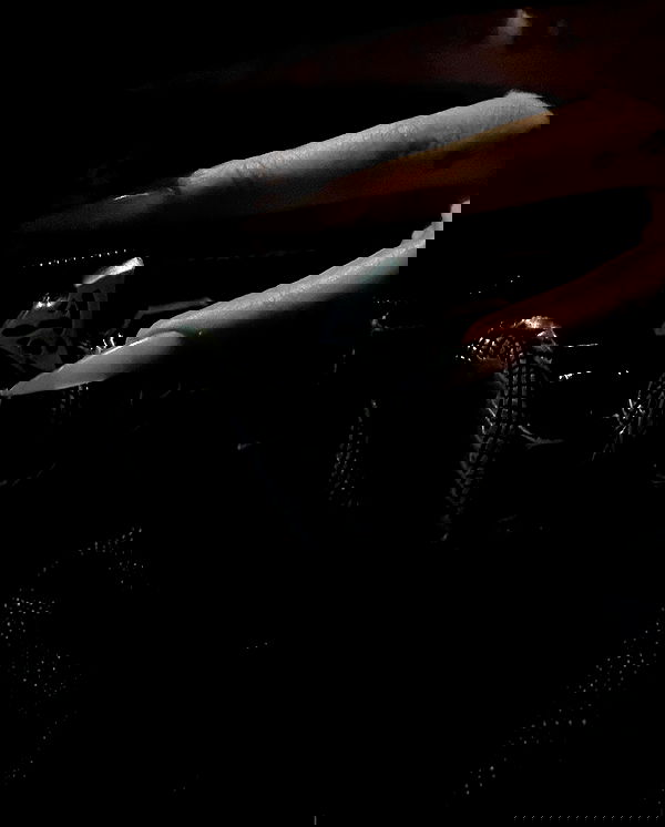 zommmbri image ~ Altpins