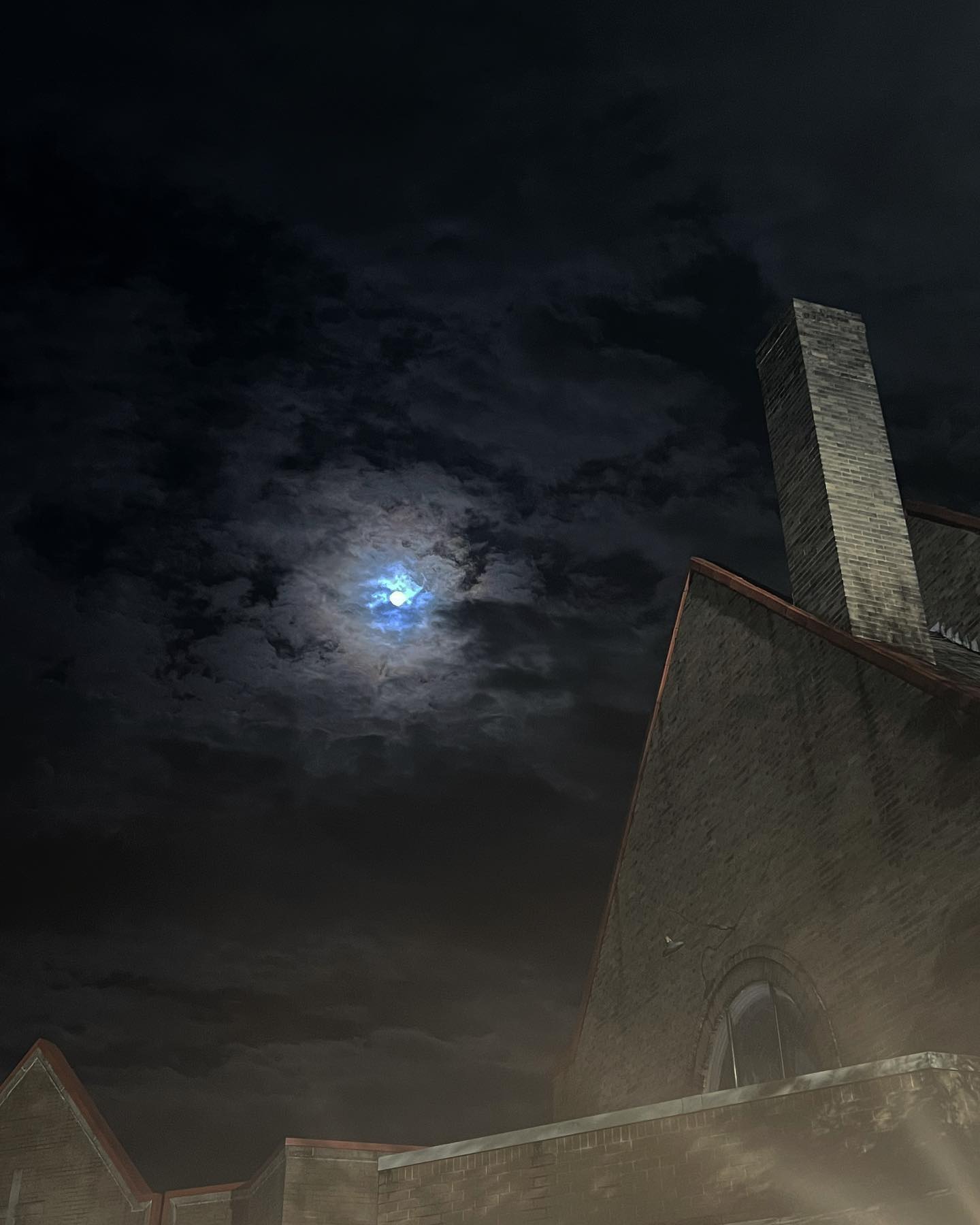 zommmbri instagram image archive image