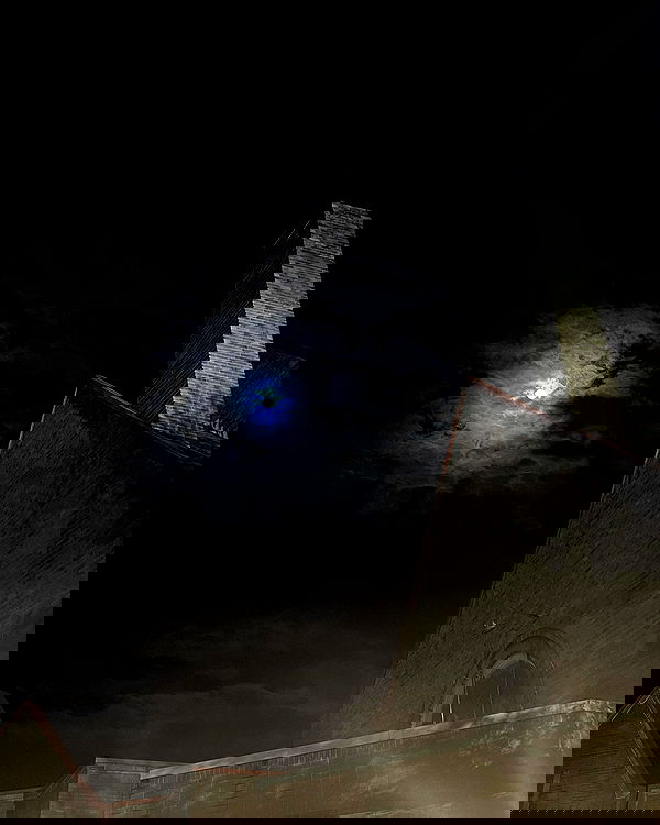 zommmbri image ~ Altpins