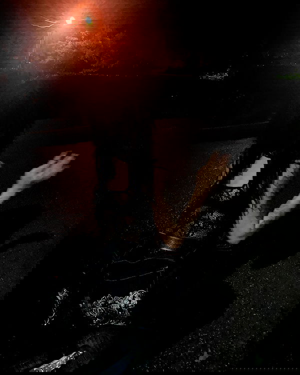 zommmbri image ~ Altpins