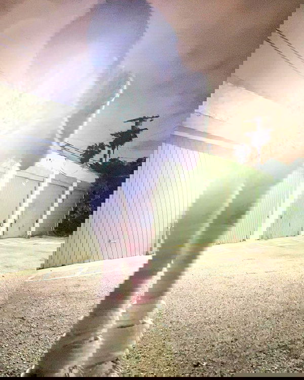 zommmbri image ~ Altpins