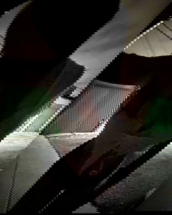 zommmbri image ~ Altpins