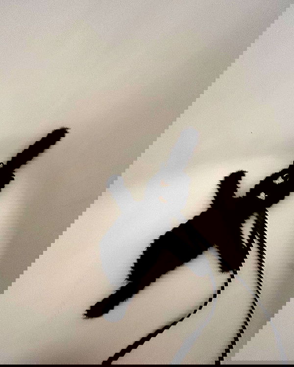 zommmbri image ~ Altpins