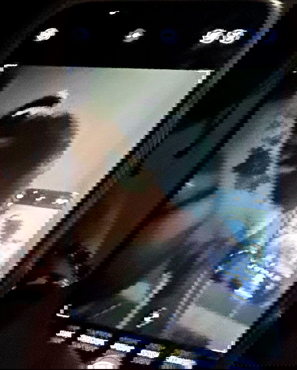 zommmbri image ~ Altpins