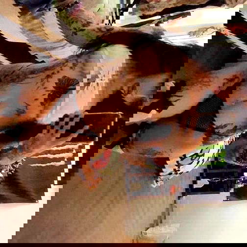 zommmbri image ~ Altpins