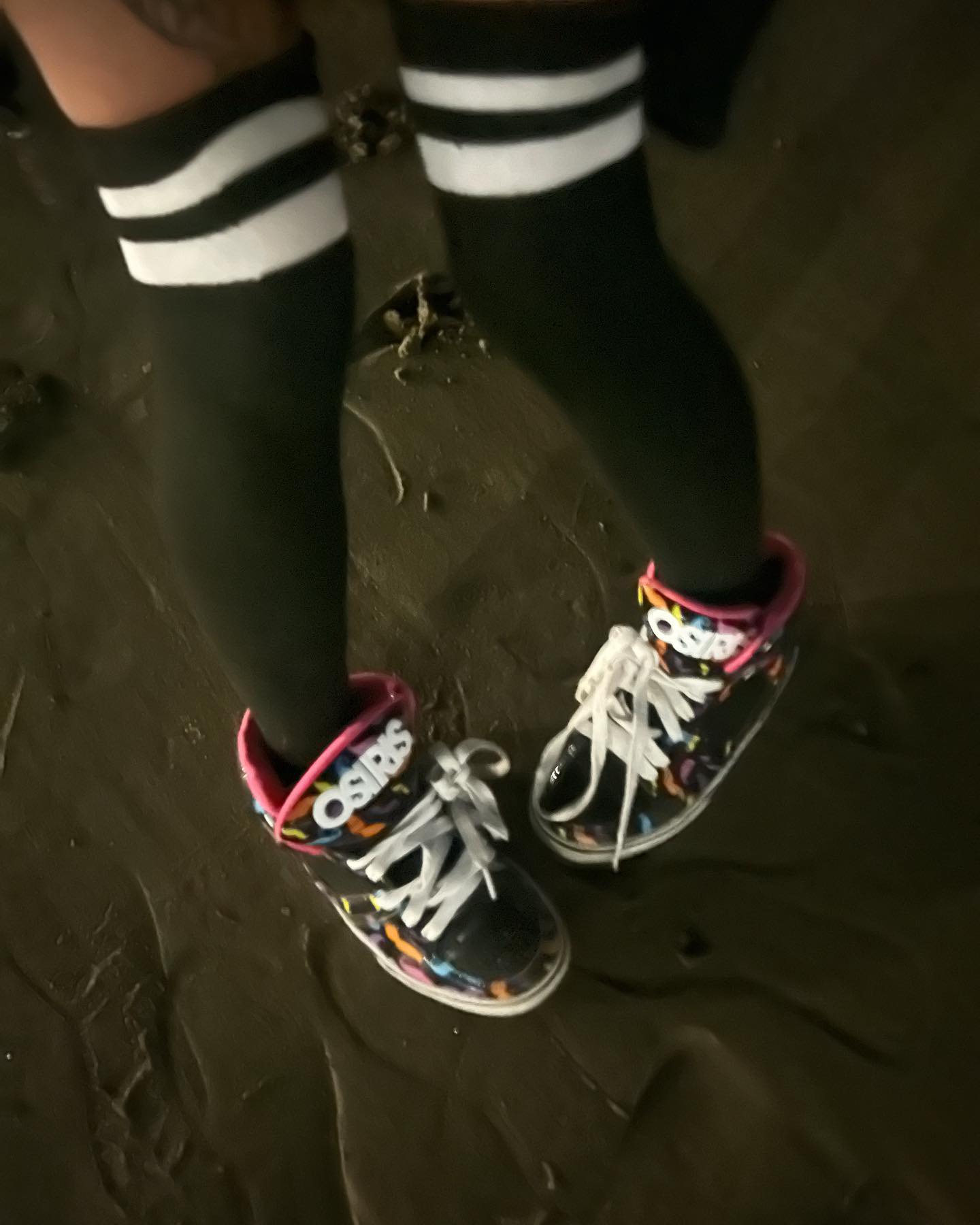 zommmbri instagram image archive image