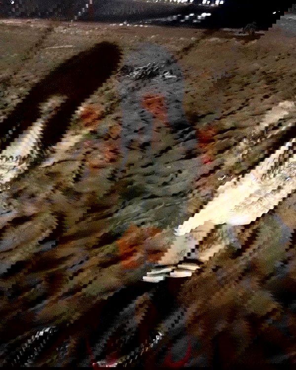 zommmbri image ~ Altpins