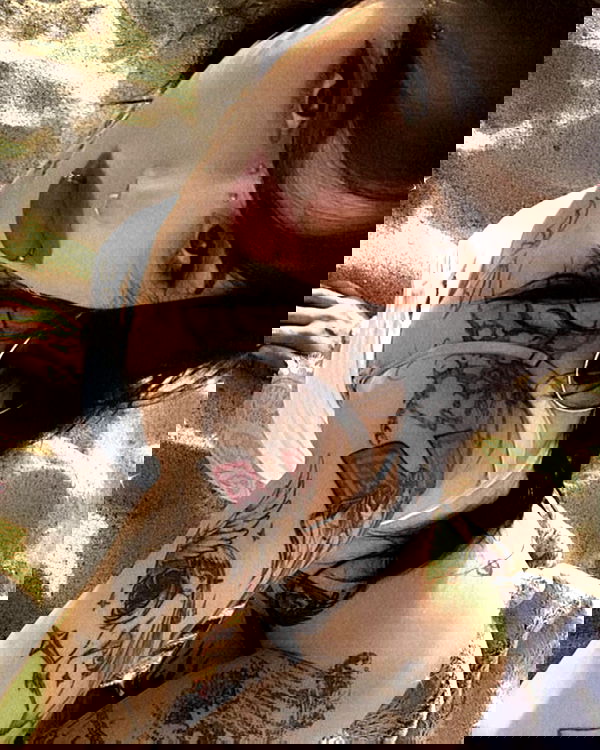 zommmbri image ~ Altpins