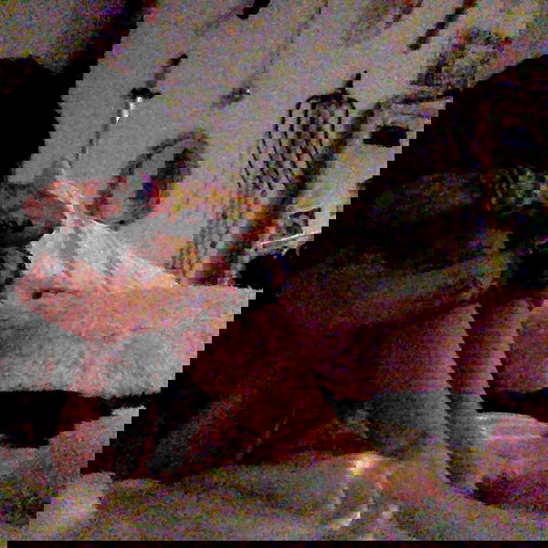 zommmbri image ~ Altpins