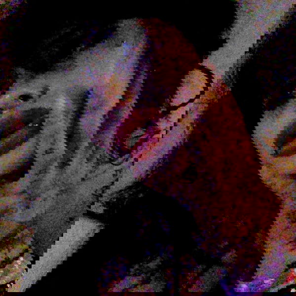 zommmbri image ~ Altpins