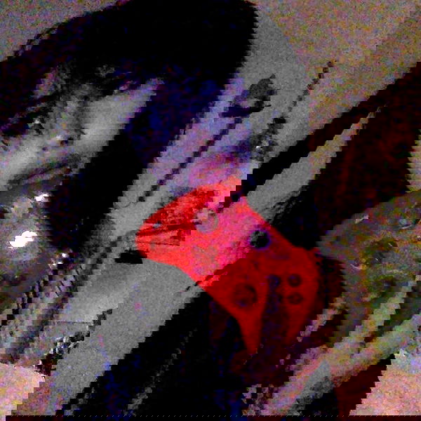 zommmbri image ~ Altpins