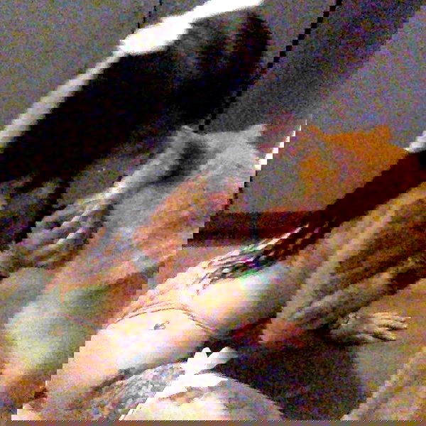 zommmbri image ~ Altpins