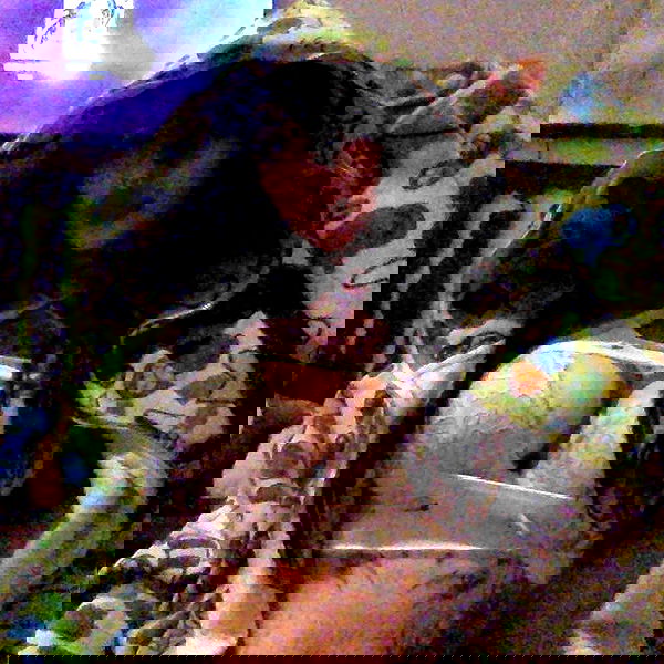 zommmbri image ~ Altpins