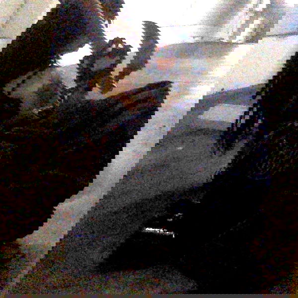 zommmbri image ~ Altpins