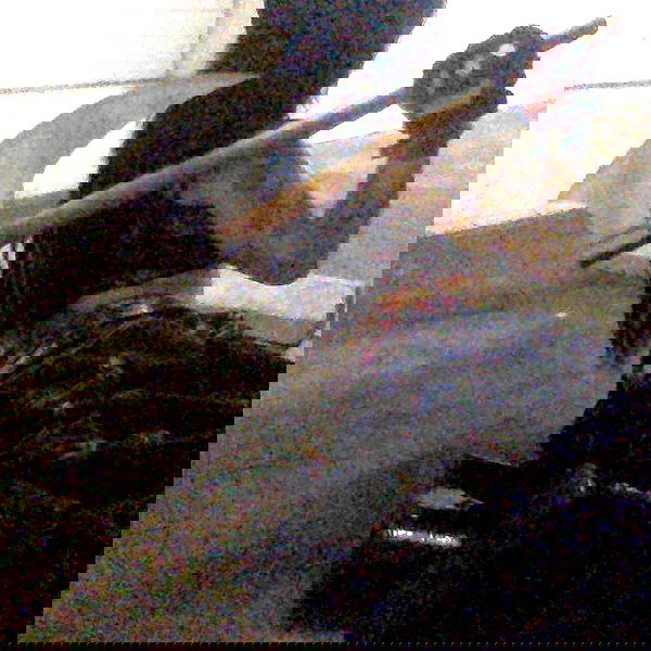 zommmbri image ~ Altpins