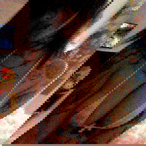 zommmbri image ~ Altpins