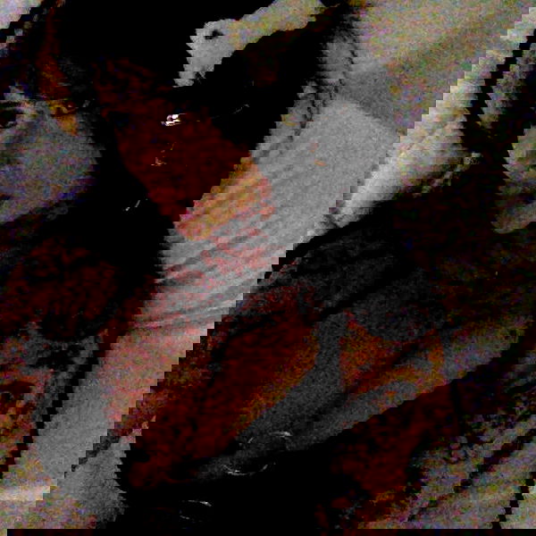 zommmbri image ~ Altpins