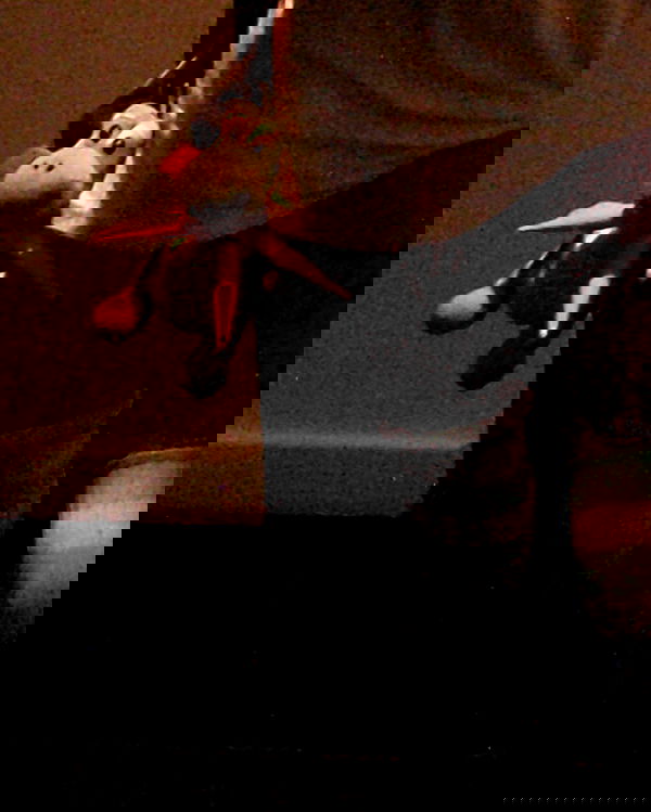 zommmbri image ~ Altpins