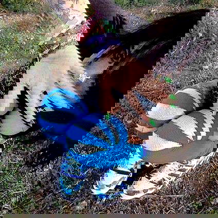 zommmbri image ~ Altpins