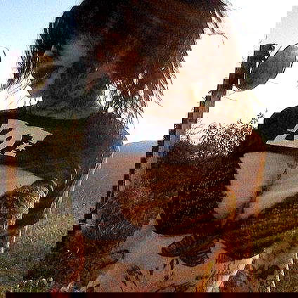 zommmbri image ~ Altpins