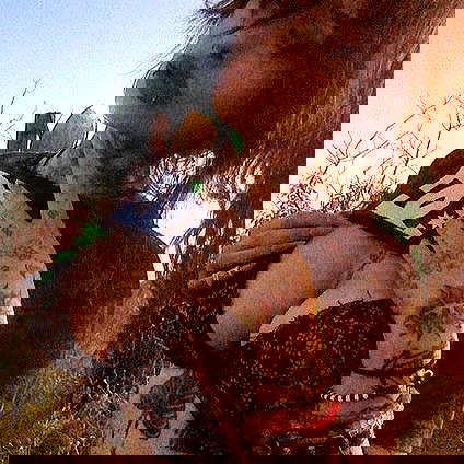 zommmbri image ~ Altpins