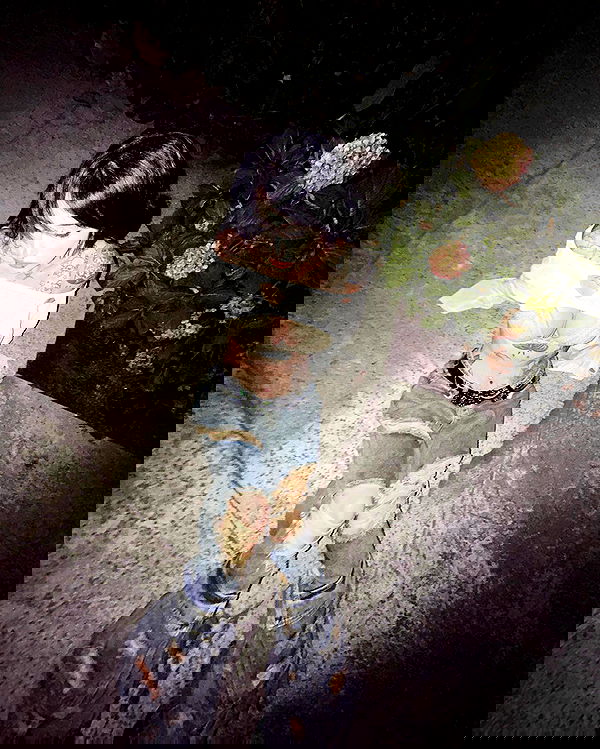 zommmbri image ~ Altpins