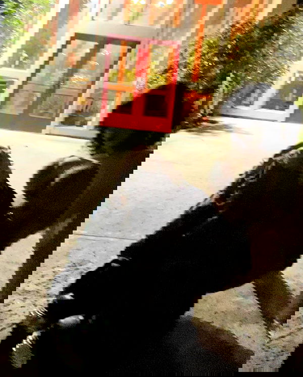 zommmbri image ~ Altpins