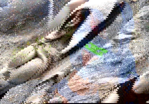 zommmbri image ~ Altpins